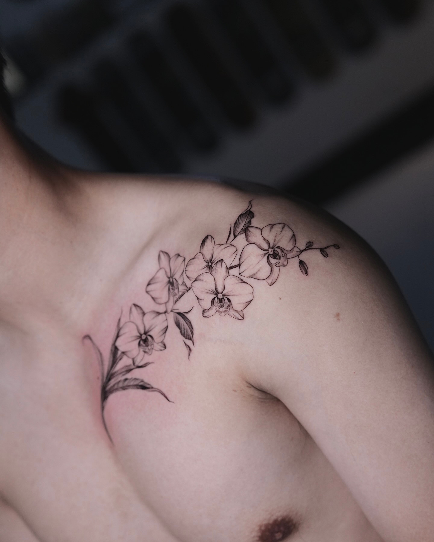 Fine line orchid shoulder and collarbone tattoo